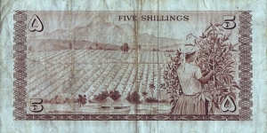 Banknote from Kenya