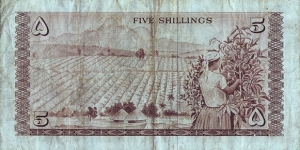 Banknote from Kenya