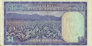 Banknote from Rhodesia