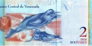 Banknote from Venezuela