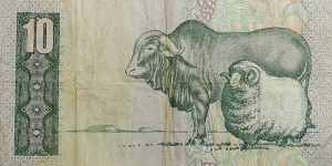 Banknote from South Africa