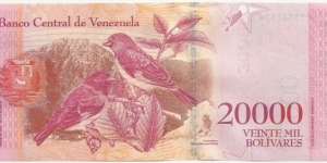 Banknote from Venezuela