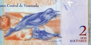 Banknote from Venezuela