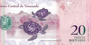 Banknote from Venezuela