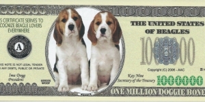 Banknote from USA