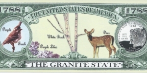 Banknote from USA