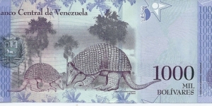 Banknote from Venezuela