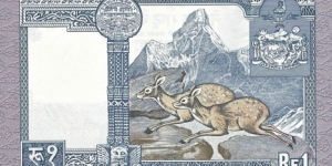 Banknote from Nepal