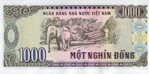 Banknote from Vietnam