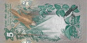 Banknote from Sri Lanka