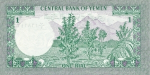 Banknote from Yemen