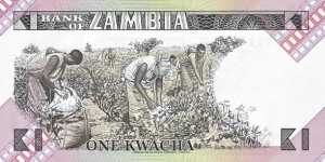 Banknote from Zambia