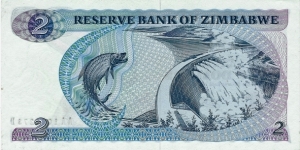 Banknote from Zimbabwe