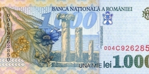 Banknote from Romania