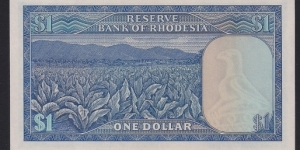 Banknote from Rhodesia