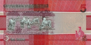 Banknote from Gambia