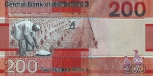 Banknote from Gambia