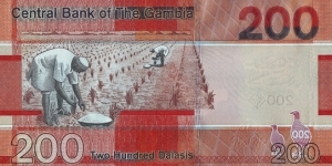 Banknote from Gambia