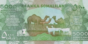 Banknote from East Africa