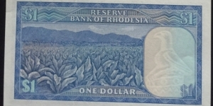 Banknote from Rhodesia