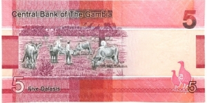 Banknote from Gambia