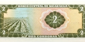 Banknote from Nicaragua