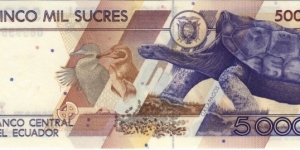 Banknote from Ecuador