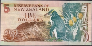 Banknote from New Zealand