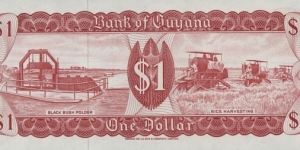 Banknote from Guyana