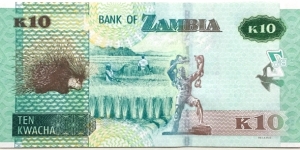 Banknote from Zambia