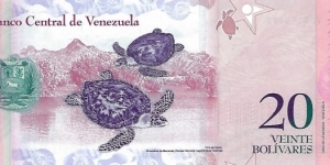 Banknote from Venezuela