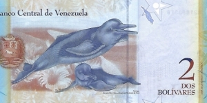 Banknote from Venezuela