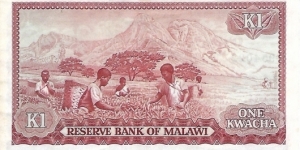 Banknote from Malawi