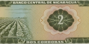 Banknote from Nicaragua