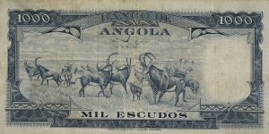 Banknote from Angola