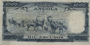 Banknote from Angola