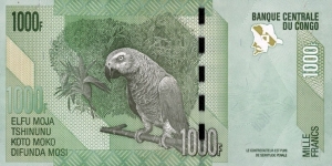 Banknote from Congo