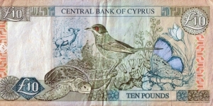 Banknote from Cyprus