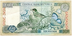 Banknote from Cyprus