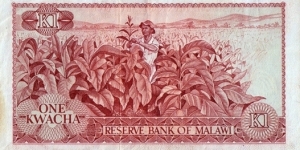 Banknote from Malawi