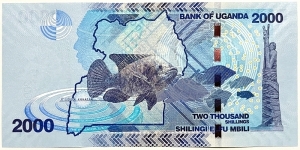 Banknote from Uganda