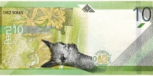 Banknote from Peru