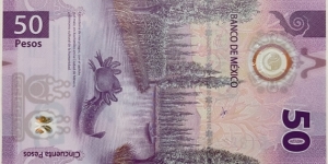 Banknote from Mexico