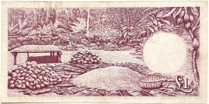 Banknote from Ghana