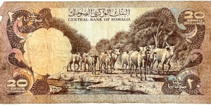 Banknote from Somalia