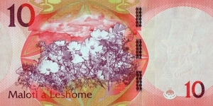 Banknote from Lesotho