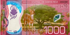 Banknote from Costa Rica