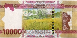 Banknote from Guinea