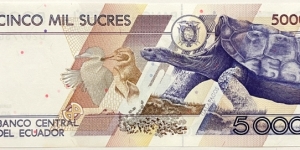 Banknote from Ecuador