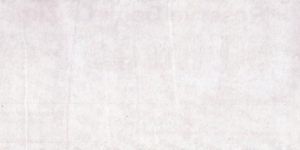 Banknote from Zimbabwe